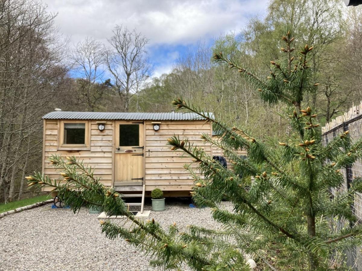 Highland Bear Lodge & Luxury Bear Huts Drumnadrochit Εξωτερικό φωτογραφία