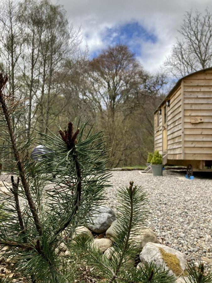 Highland Bear Lodge & Luxury Bear Huts Drumnadrochit Εξωτερικό φωτογραφία