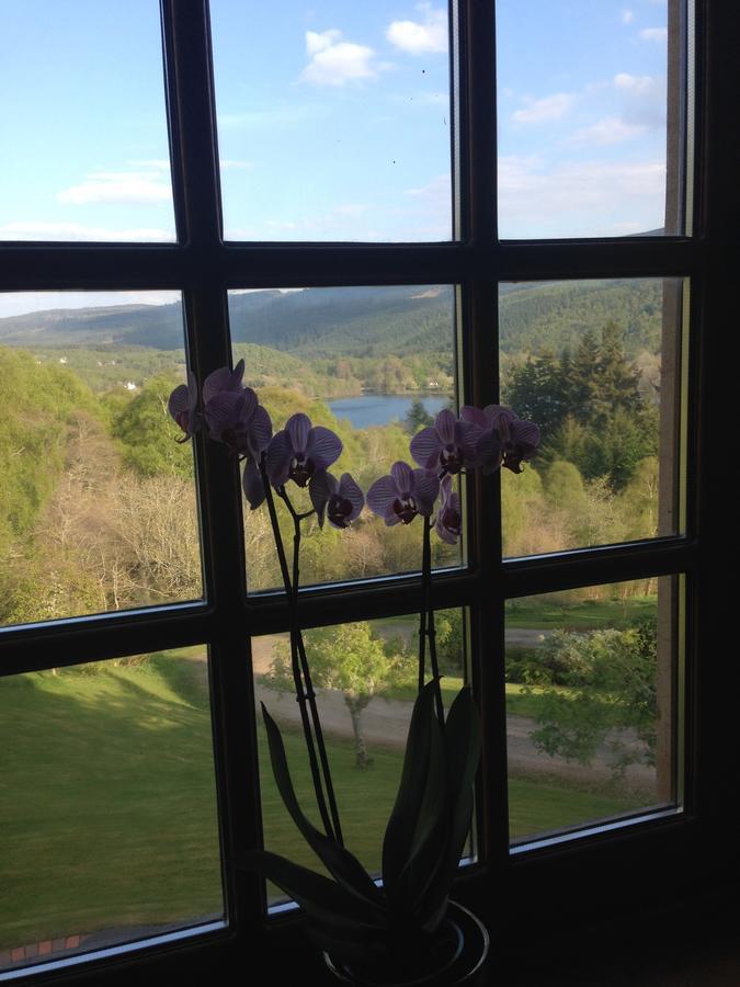 Highland Bear Lodge & Luxury Bear Huts Drumnadrochit Εξωτερικό φωτογραφία